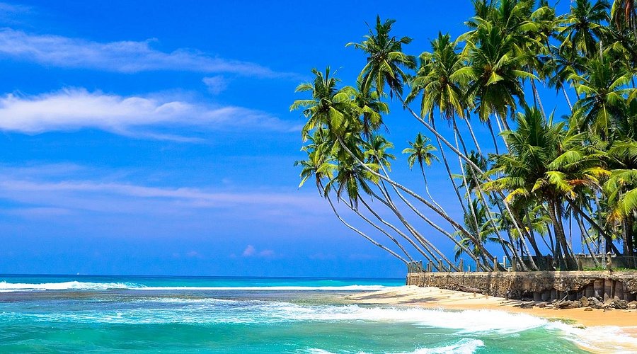 Hikkaduwa Day Tour